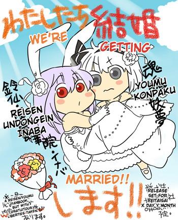 what the hell are you drawing youmu x reisen cover