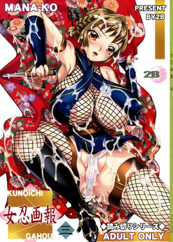 kunoichi gahou 3 cover