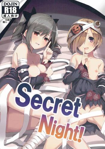 secret night cover