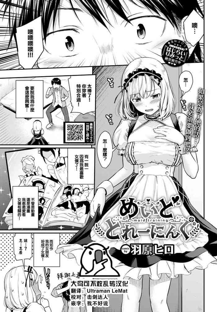 maid training cover