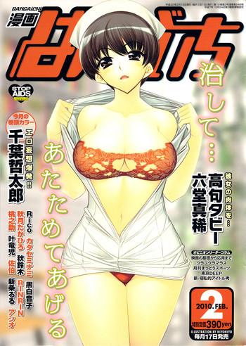 manga bangaichi 2010 02 cover