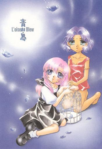 l x27 oiseau blew aoi tori cover