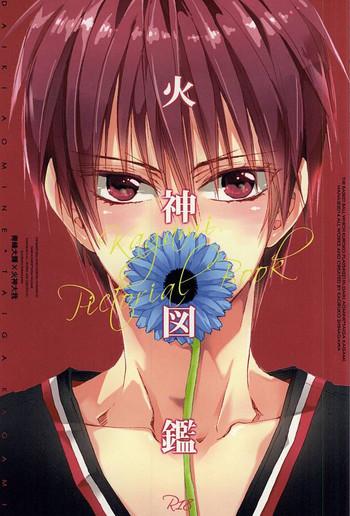 kagami zukan kagami pictorial book cover