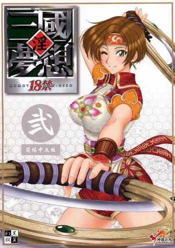 in sangoku musou 2 cover