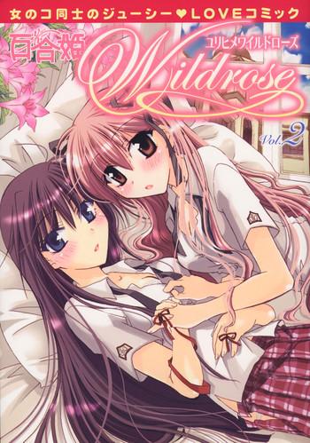 yuri hime wildrose vol 2 cover